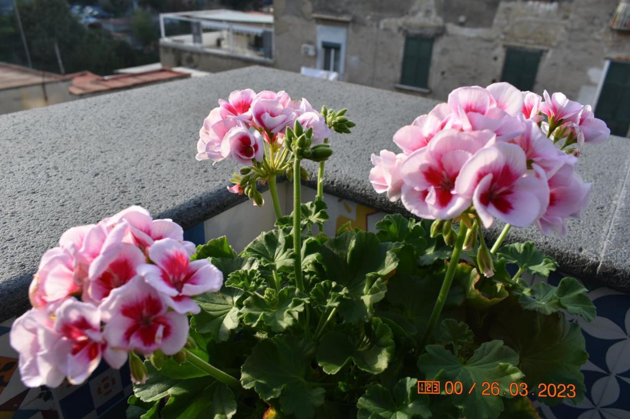 Casa Materdei Apartman Nápoly Kültér fotó